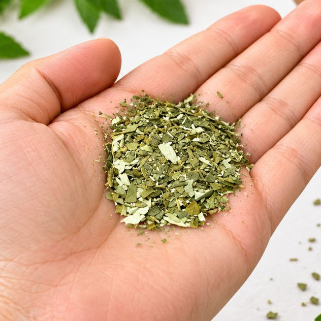 goOmate Bio Yerba - Medium